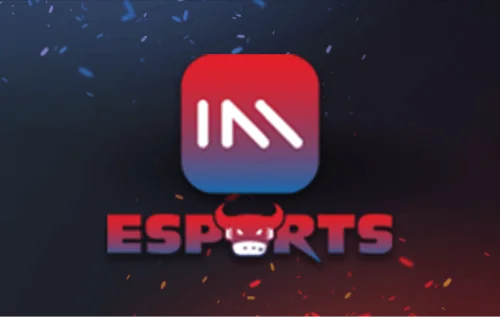 IM_E-SPORTS1